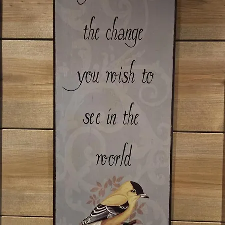 Hyttekos I Telemark Amli