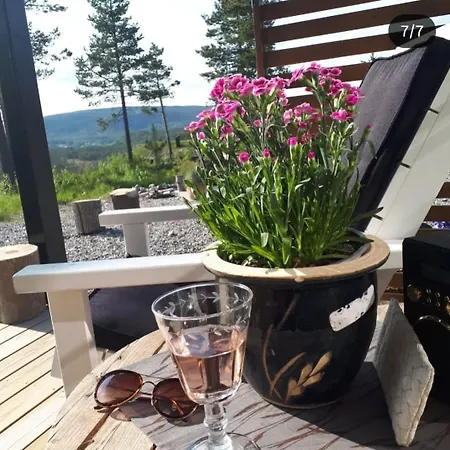 Hyttekos I Telemark